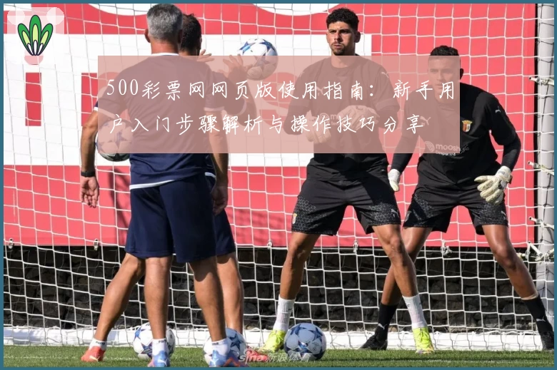 500彩票网网页版使用指南：新手用户入门步骤解析与操作技巧分享