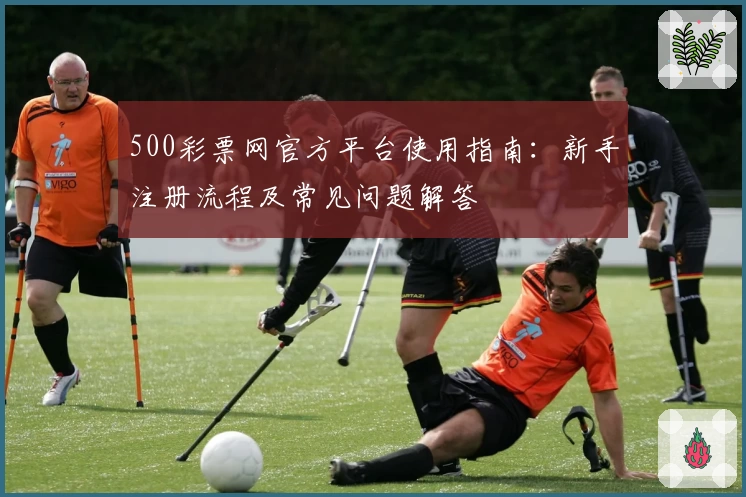 500彩票网官方平台使用指南：新手注册流程及常见问题解答